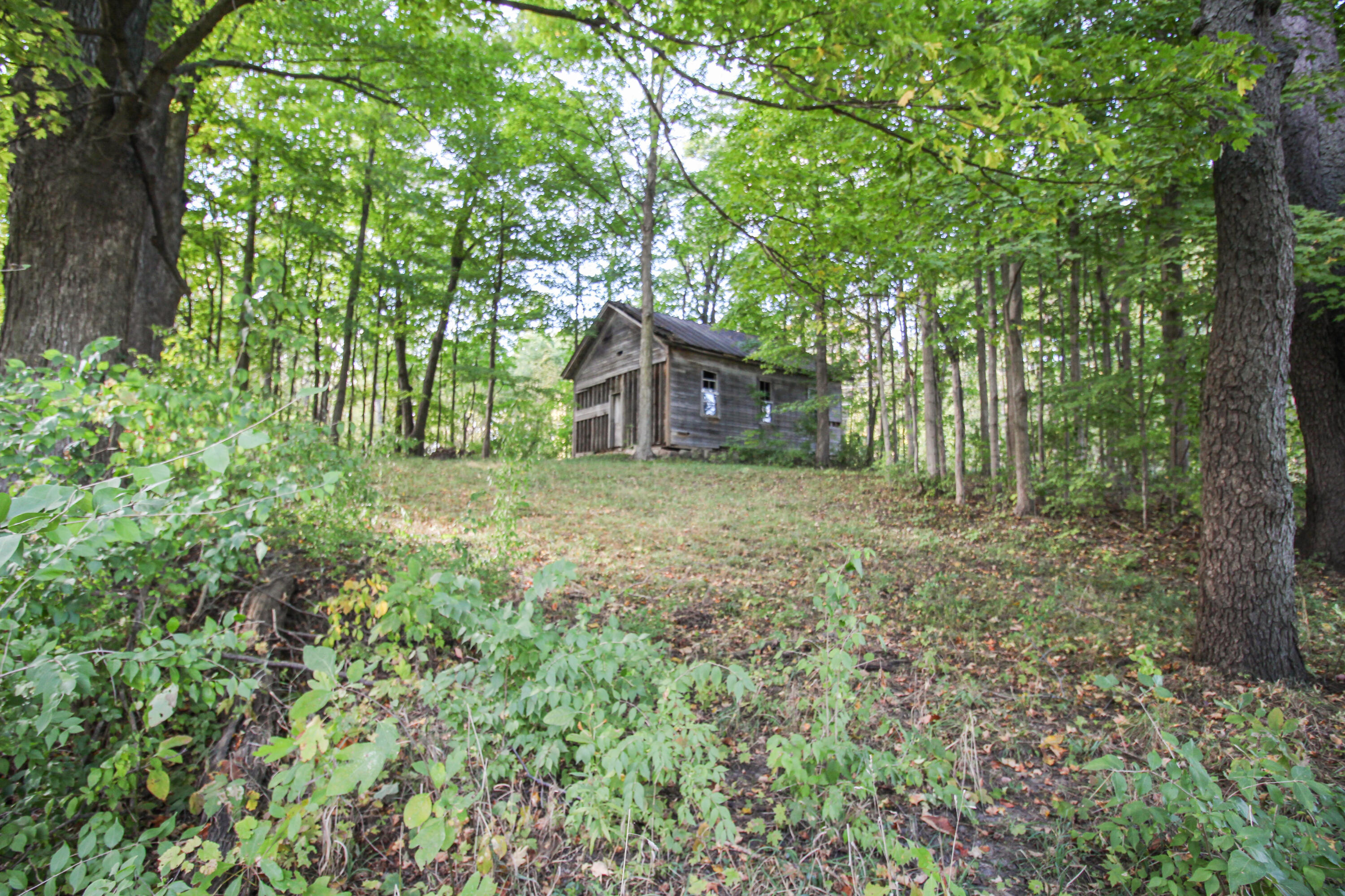 55310 Delong Road Marcellus, MI 49067 - Photo 94 of 97 Delong-109