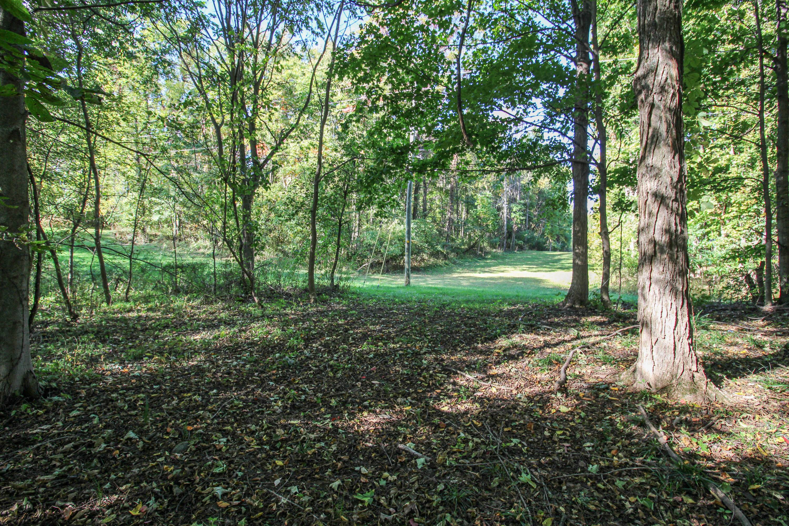 55310 Delong Road Marcellus, MI 49067 - Photo 97 of 97 Delong-106