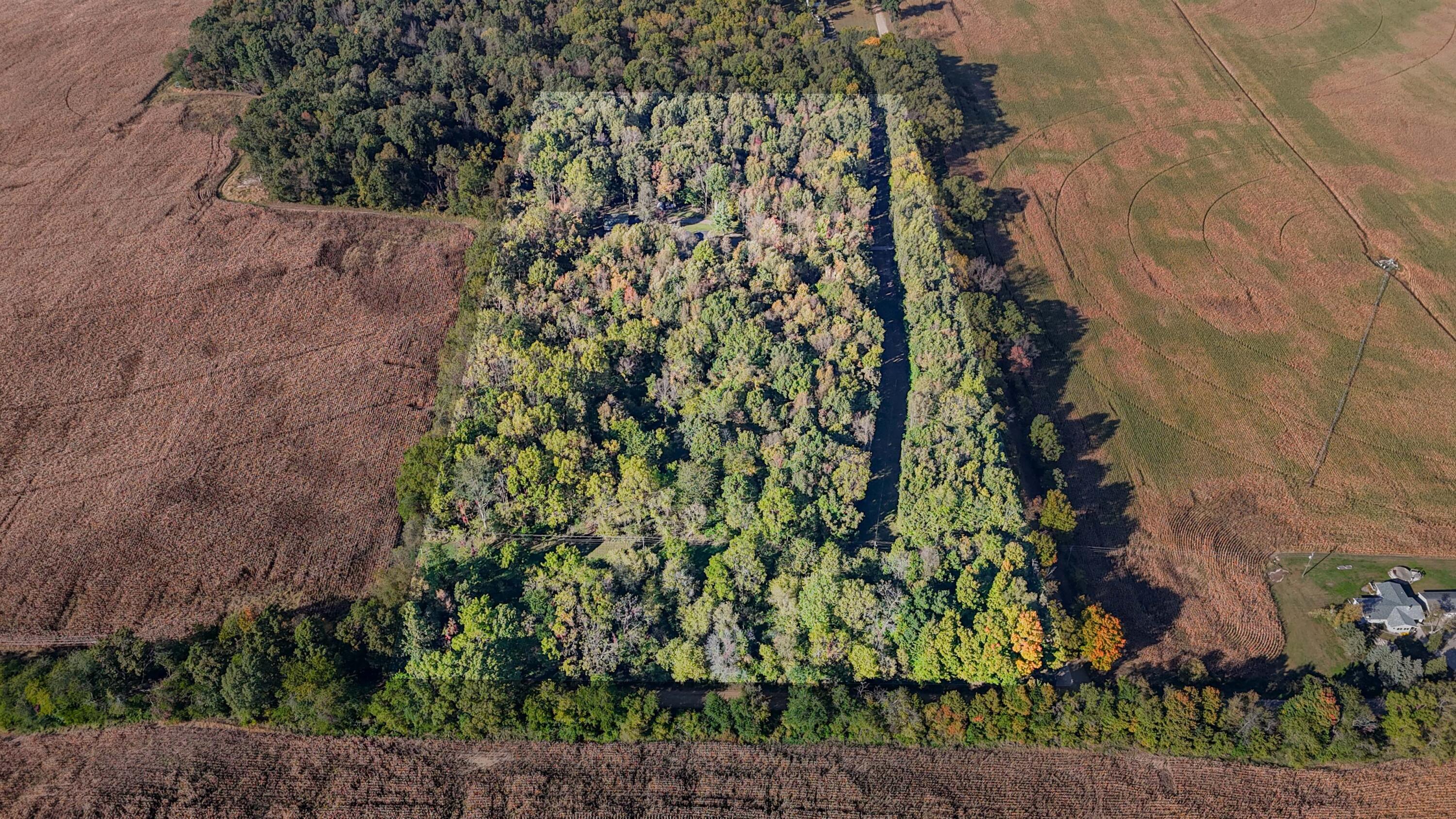 55310 Delong Road Marcellus, MI 49067 - Photo 10 of 97 Delong Drone-42 copy