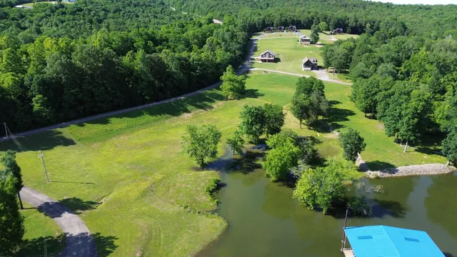 a view of a garden with a lake