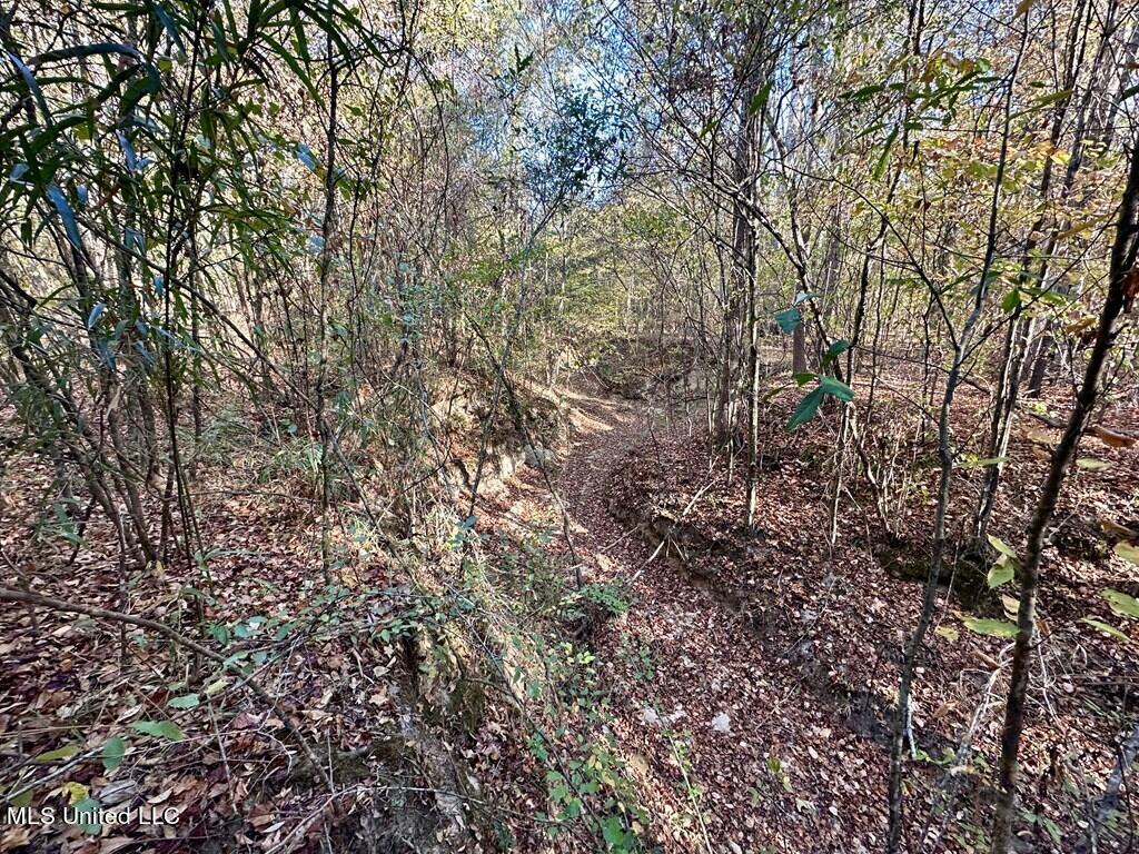 928 Perry Town Road Crosby, MS 39633 - Photo 17 of 25 928 Perrytown Pic 2