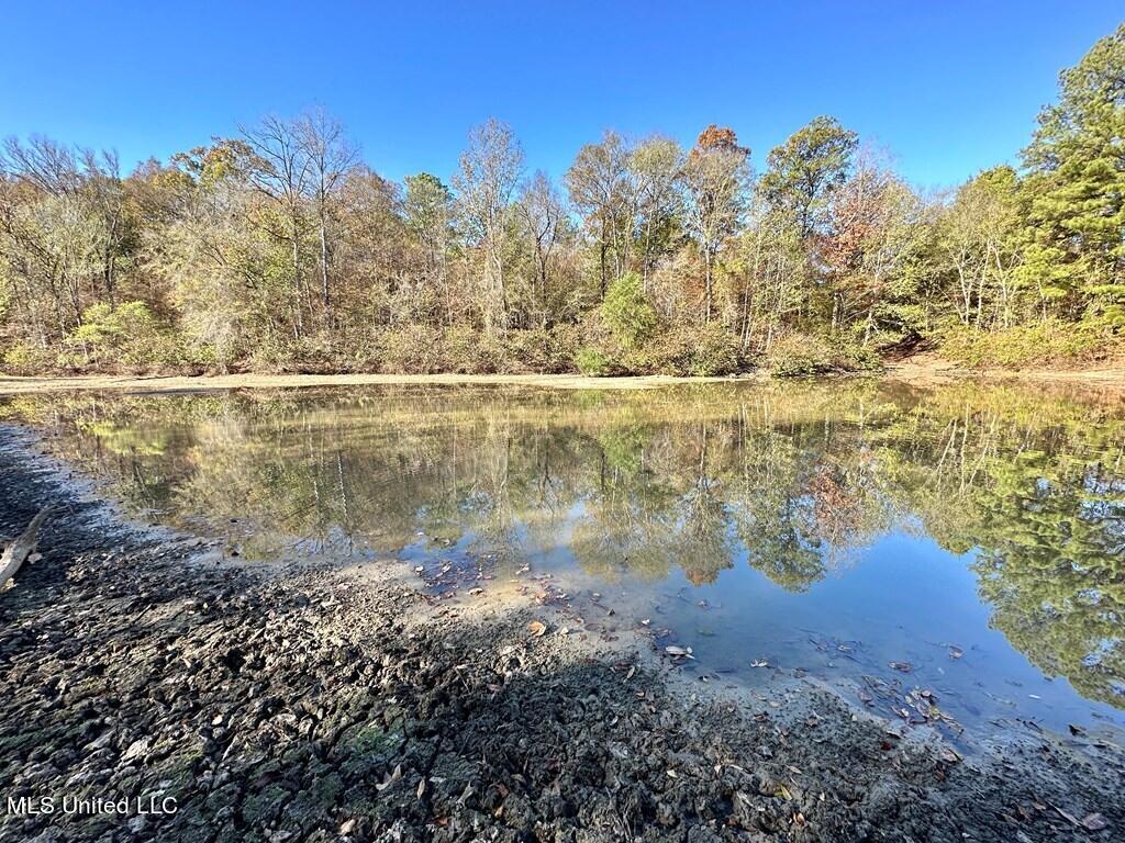 928 Perry Town Road Crosby, MS 39633 - Photo 21 of 25 928 Perrytown Pic 6