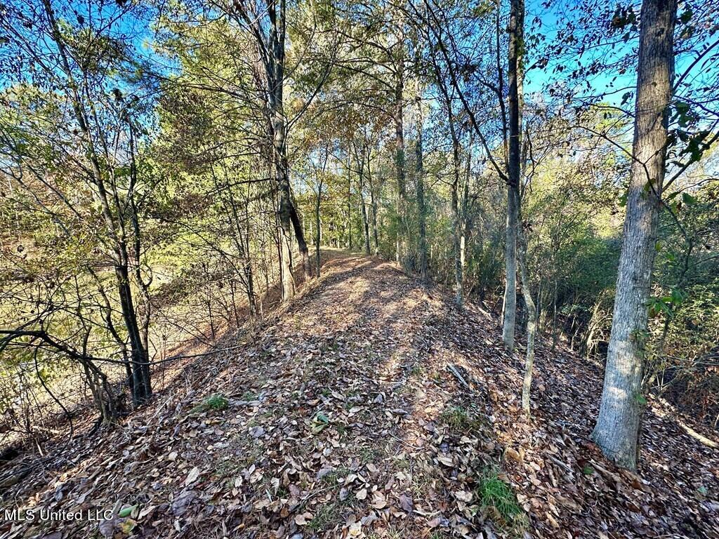 928 Perry Town Road Crosby, MS 39633 - Photo 22 of 25 928 Perrytown Pic 7