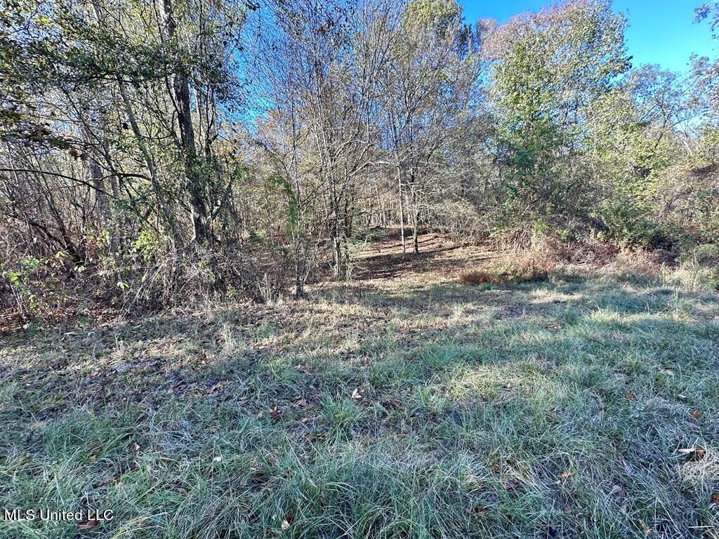 928 Perry Town Road Crosby, MS 39633 - Photo 24 of 25 928 Perrytown Pic 9