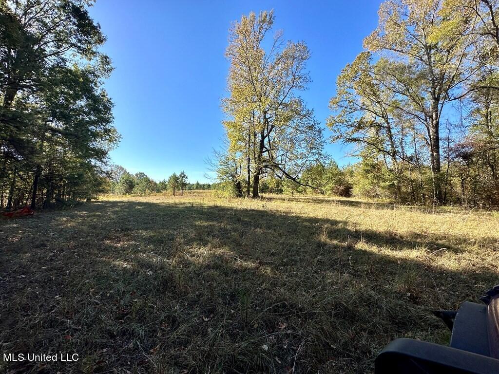 928 Perry Town Road Crosby, MS 39633 - Photo 25 of 25 928 Perrytown Pic 10