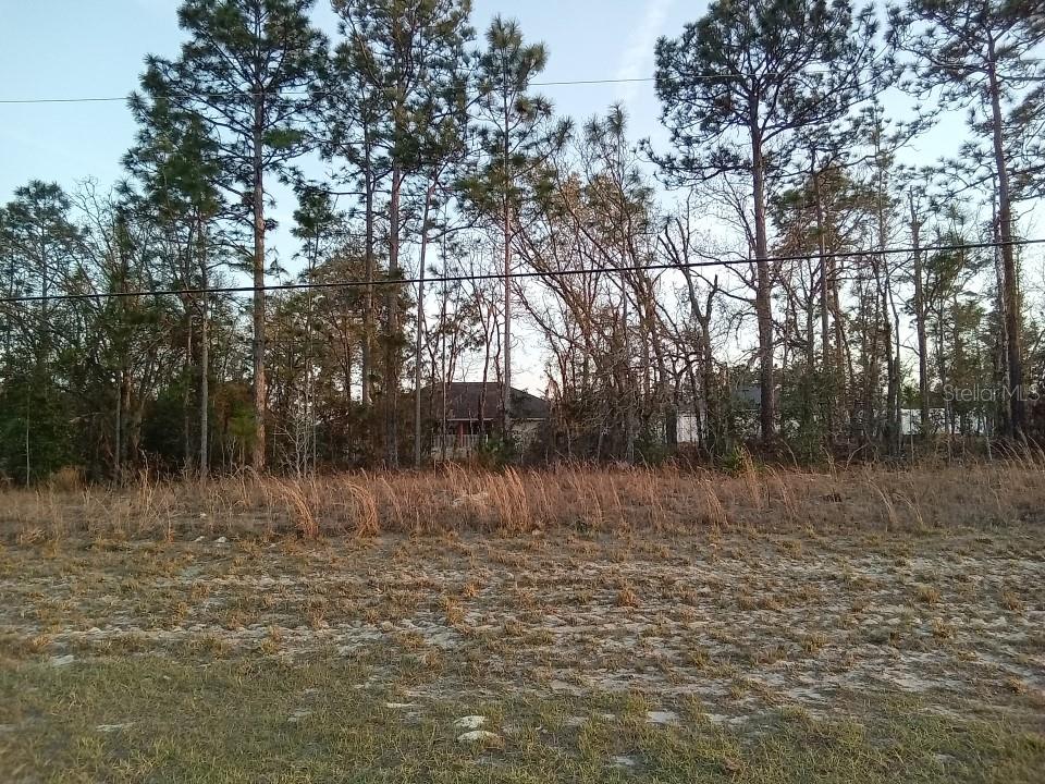 0 Sw Ocala, FL 34473 - Photo 1 of 1