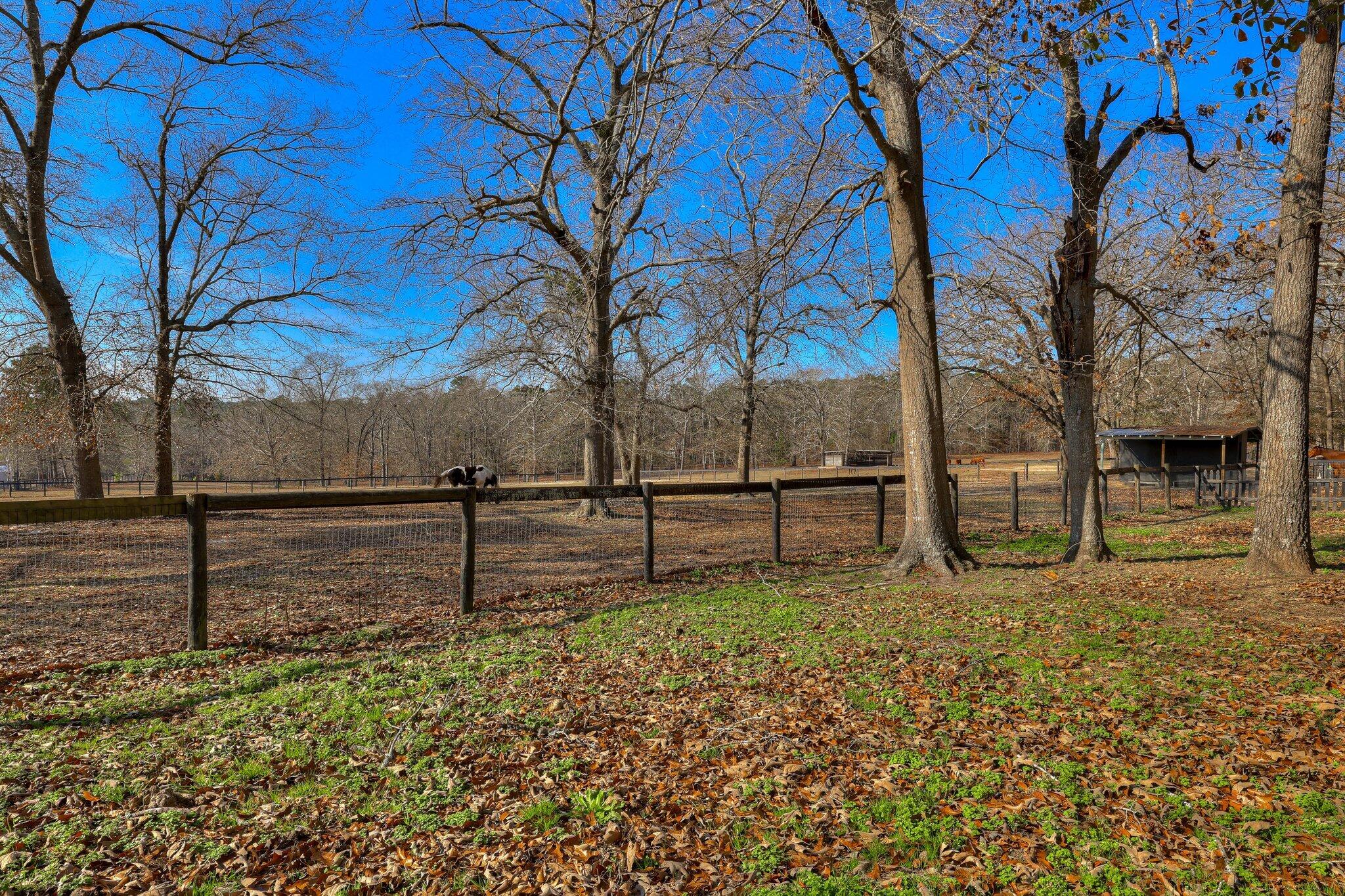 384 W Road Aiken, SC 29801 - Photo 28 of 45 Gallery Image 28