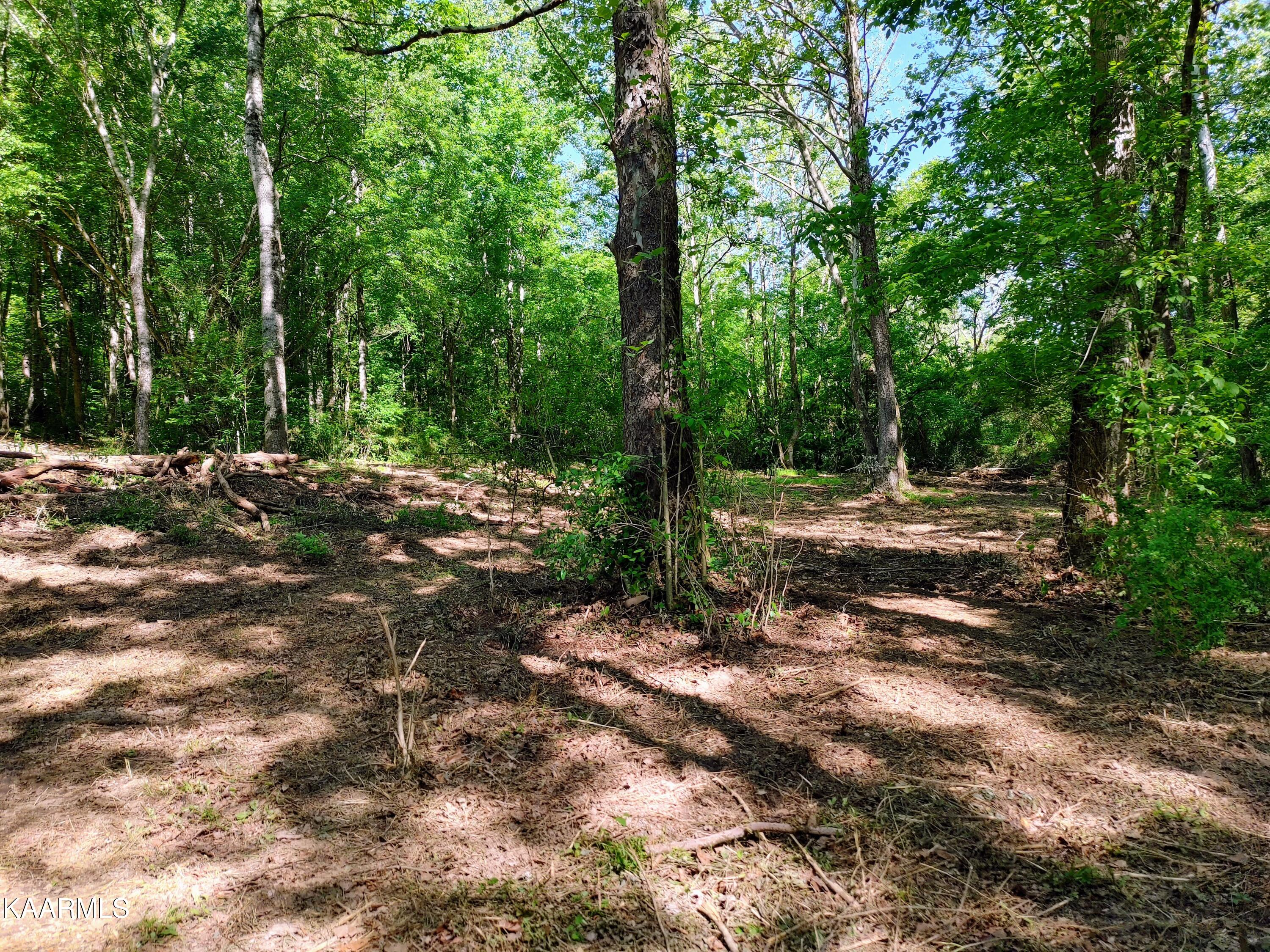 Barker Road Corryton, TN 37721 - Photo 3 of 11 image (3)