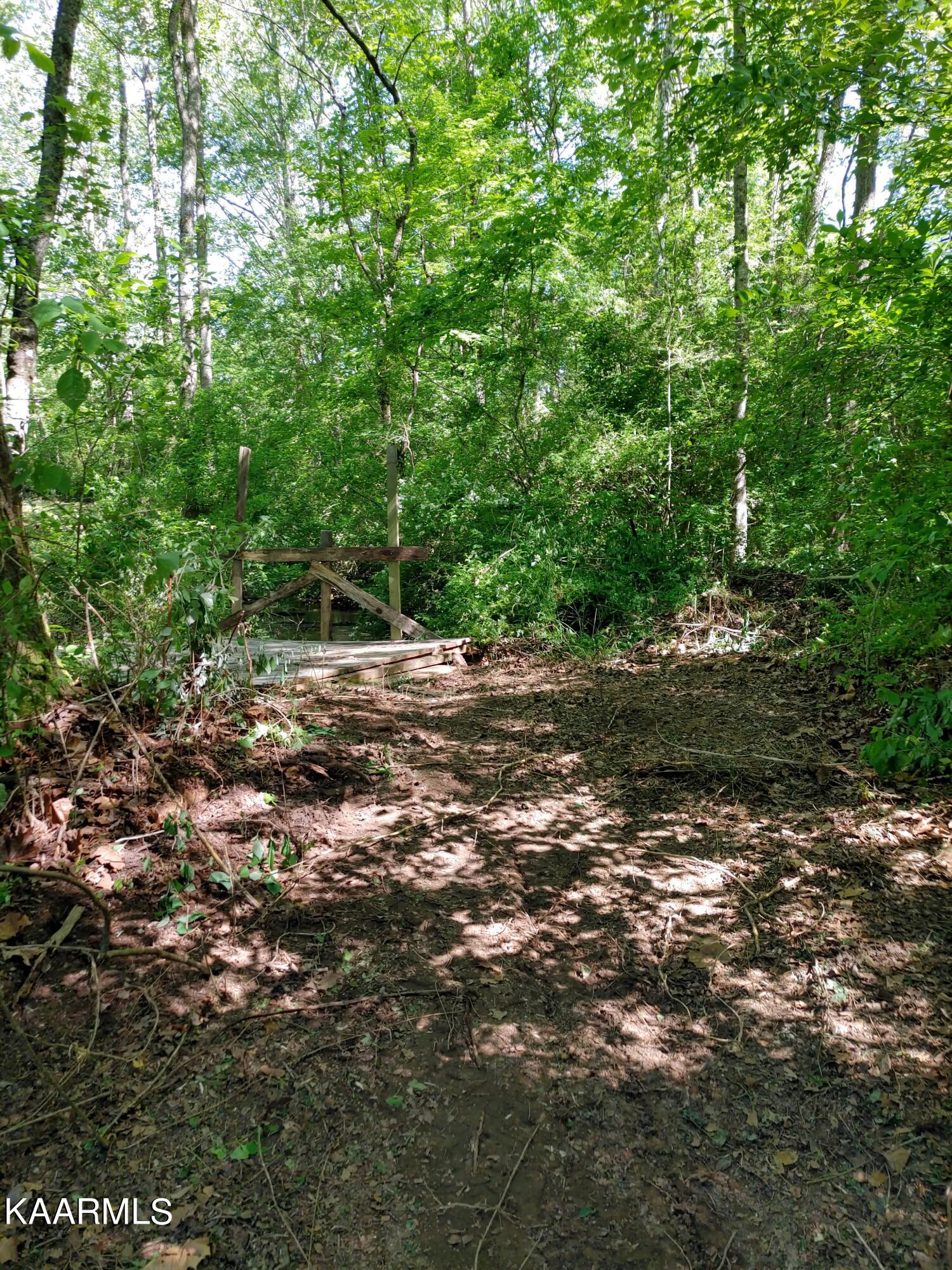 Barker Road Corryton, TN 37721 - Photo 6 of 11 image (5)