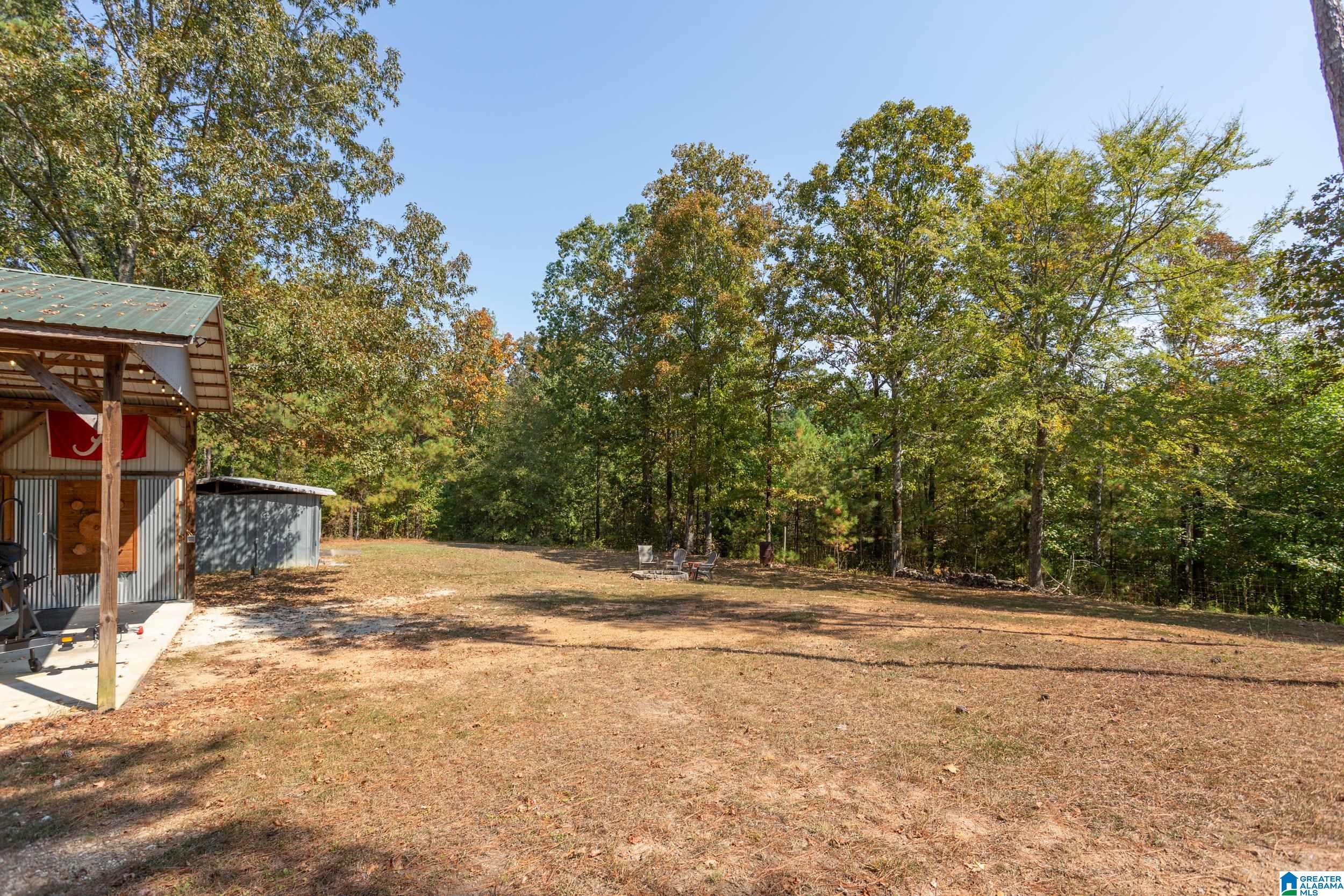 373 Meeks Road Wellington, AL 36279 - Photo 33 of 35