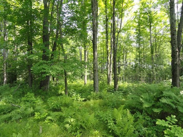 On Ritchie Road Brantwood, WI 54513 - Photo 8 of 15 Gallery Image 8