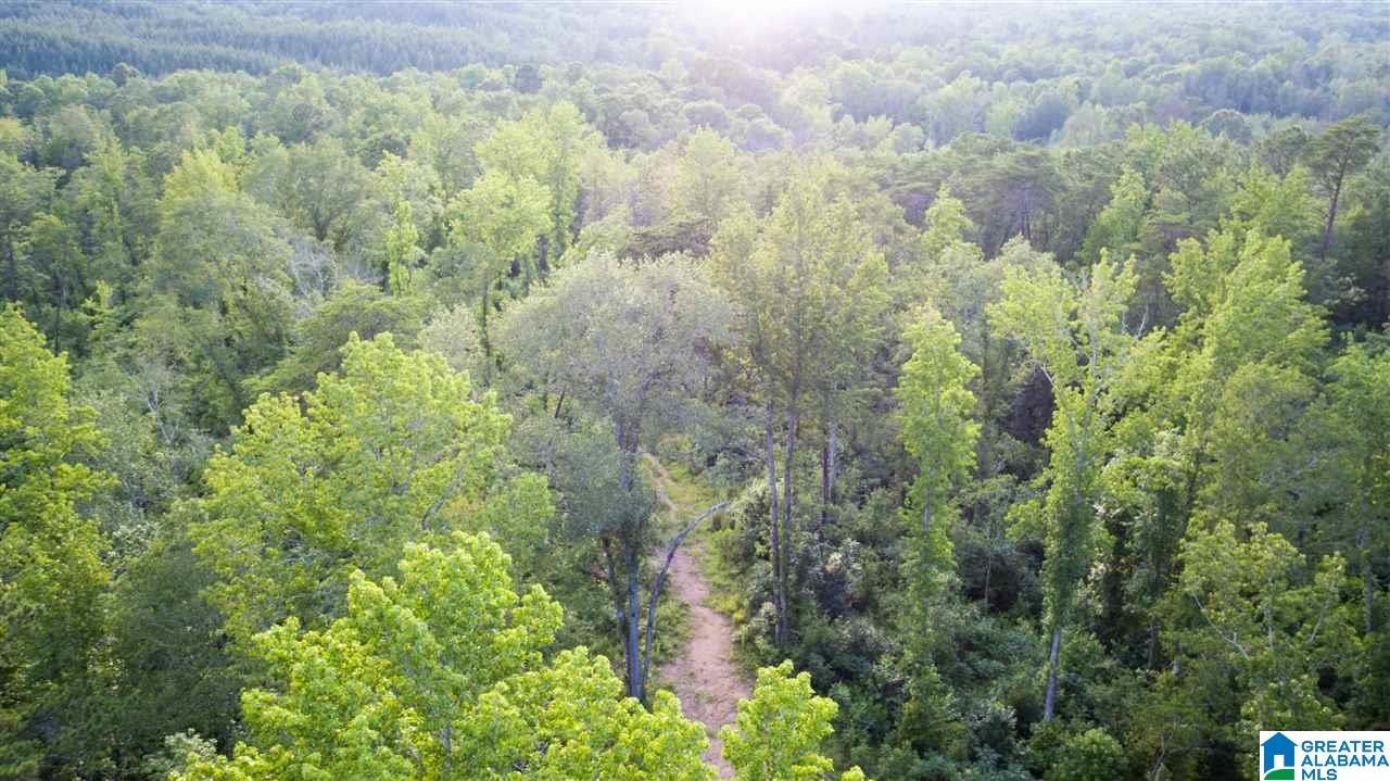 180 Gibson Road, Unit 76 / ACRES OFF GIBSON R Columbiana, AL 35051 - Photo 17 of 50