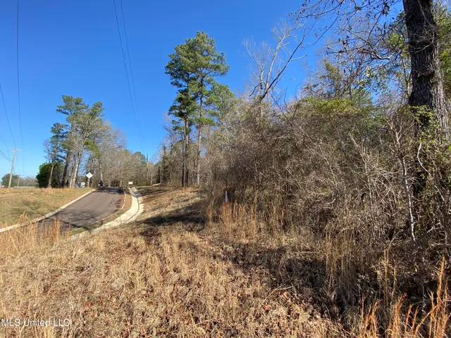 $495,000 | Florence Drive, Florence, MS 39073