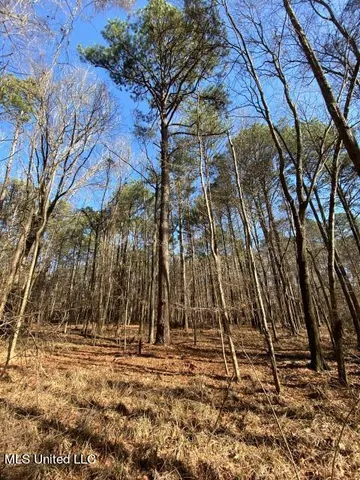 $495,000 | Florence Drive, Florence, MS 39073