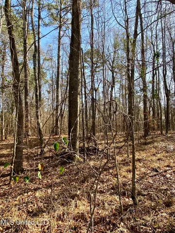 $495,000 | Florence Drive, Florence, MS 39073