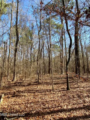 $495,000 | Florence Drive, Florence, MS 39073