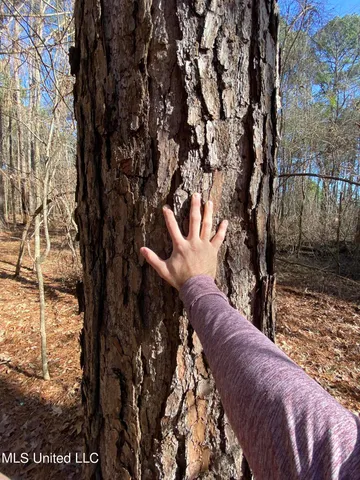 $495,000 | Florence Drive, Florence, MS 39073