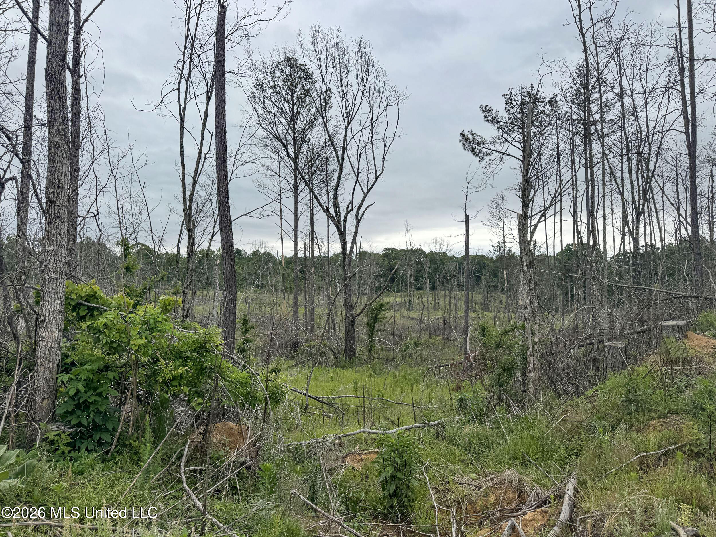 Wayne Massie Road Como, MS 38619 - Photo 155 of 184 5cdtbs101