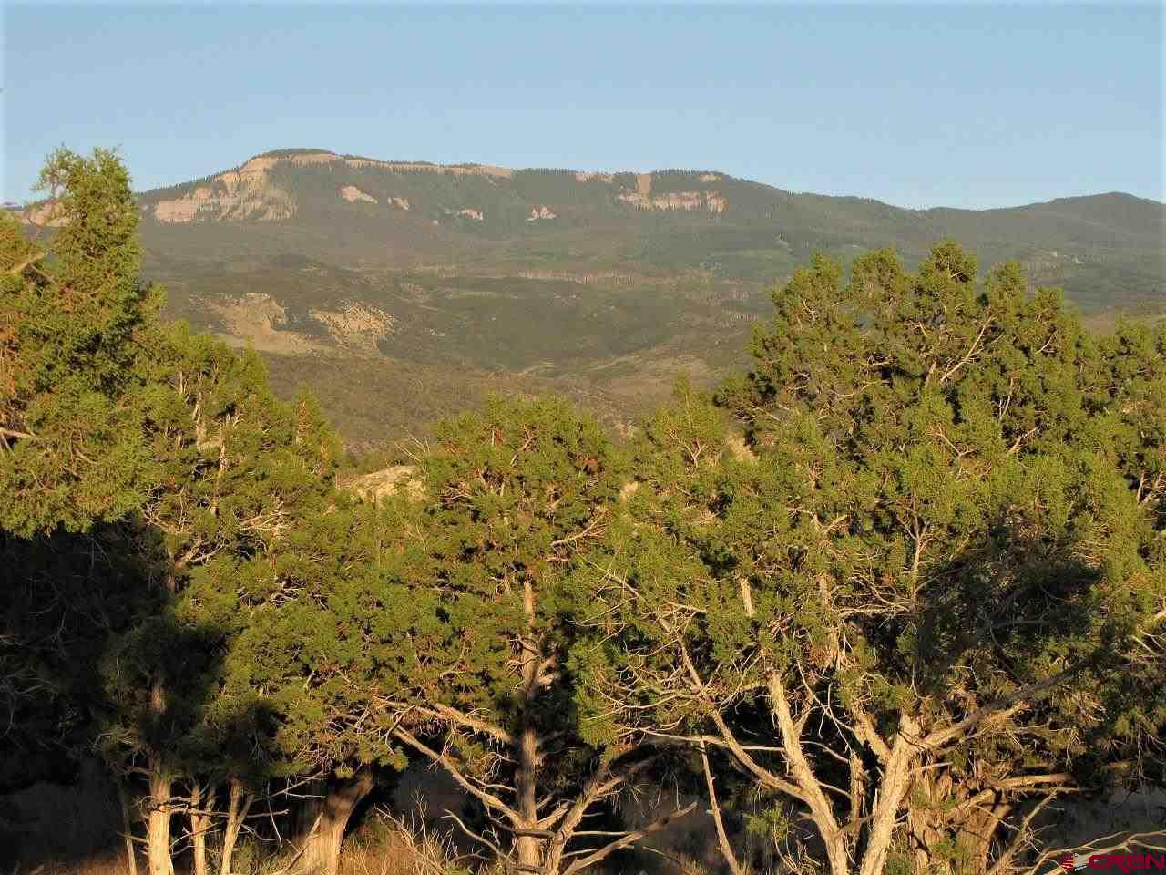 Tbd - P4 Uncompahgre Road Montrose, CO 81403 - Photo 4 of 6 Gallery Image 4