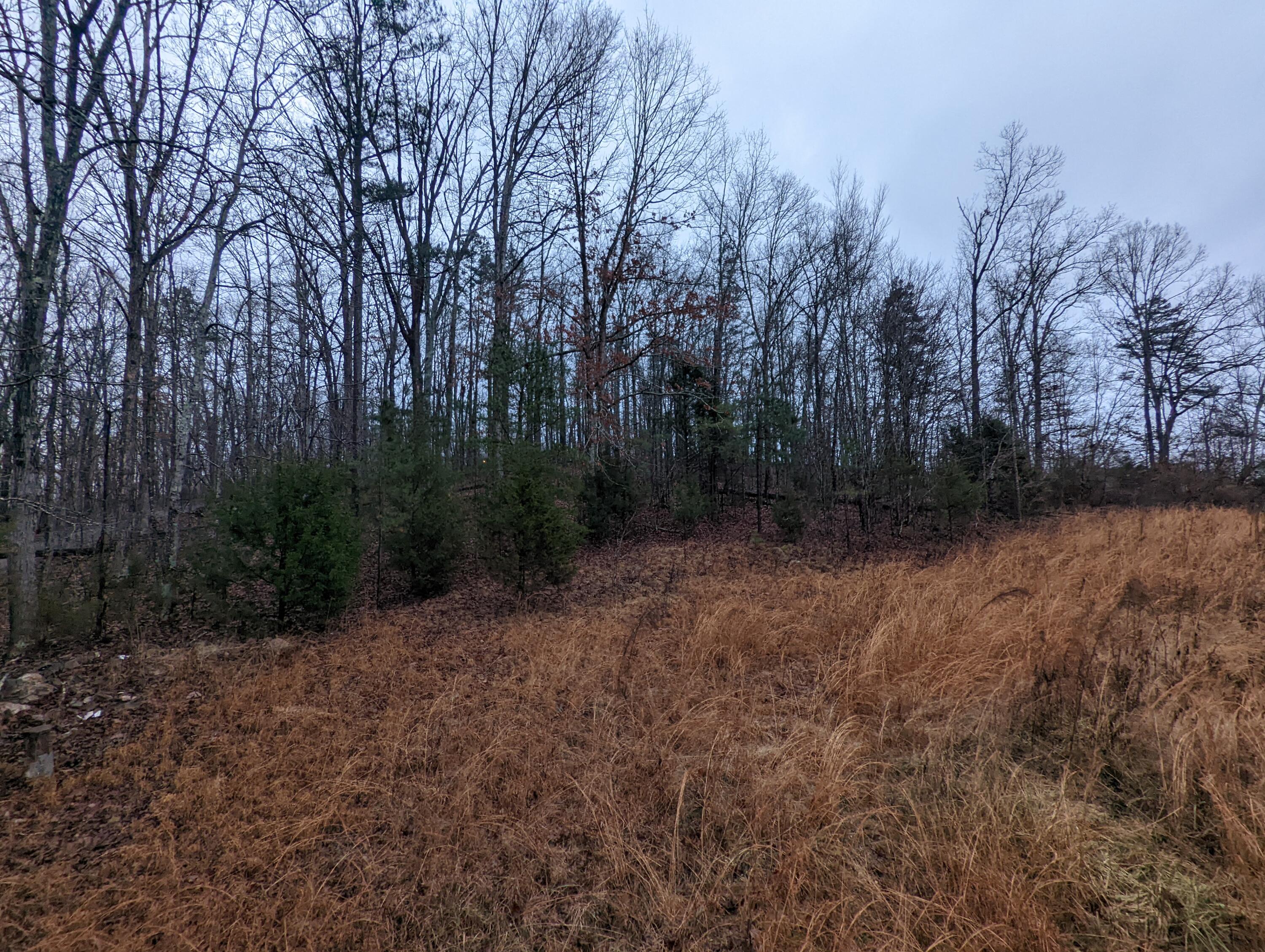 6823 Grasshopper Road Birchwood, TN 37308 - Photo 8 of 12 PXL_20220116_132853171