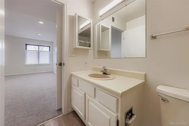 a bathroom with a sink and a toilet