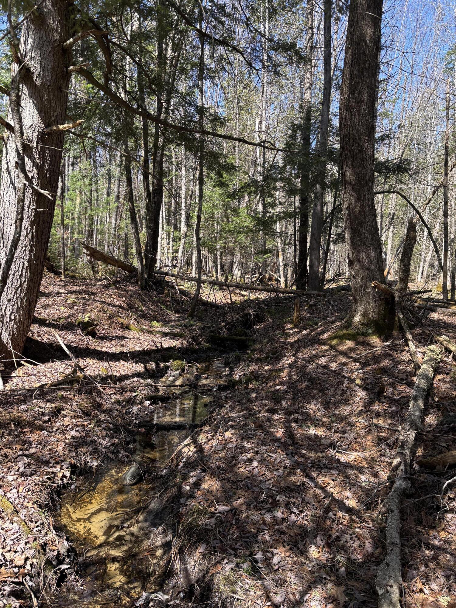 86 Mccrillis Brook Road Bethel, ME 04217 - Photo 35 of 41 IMG_6319