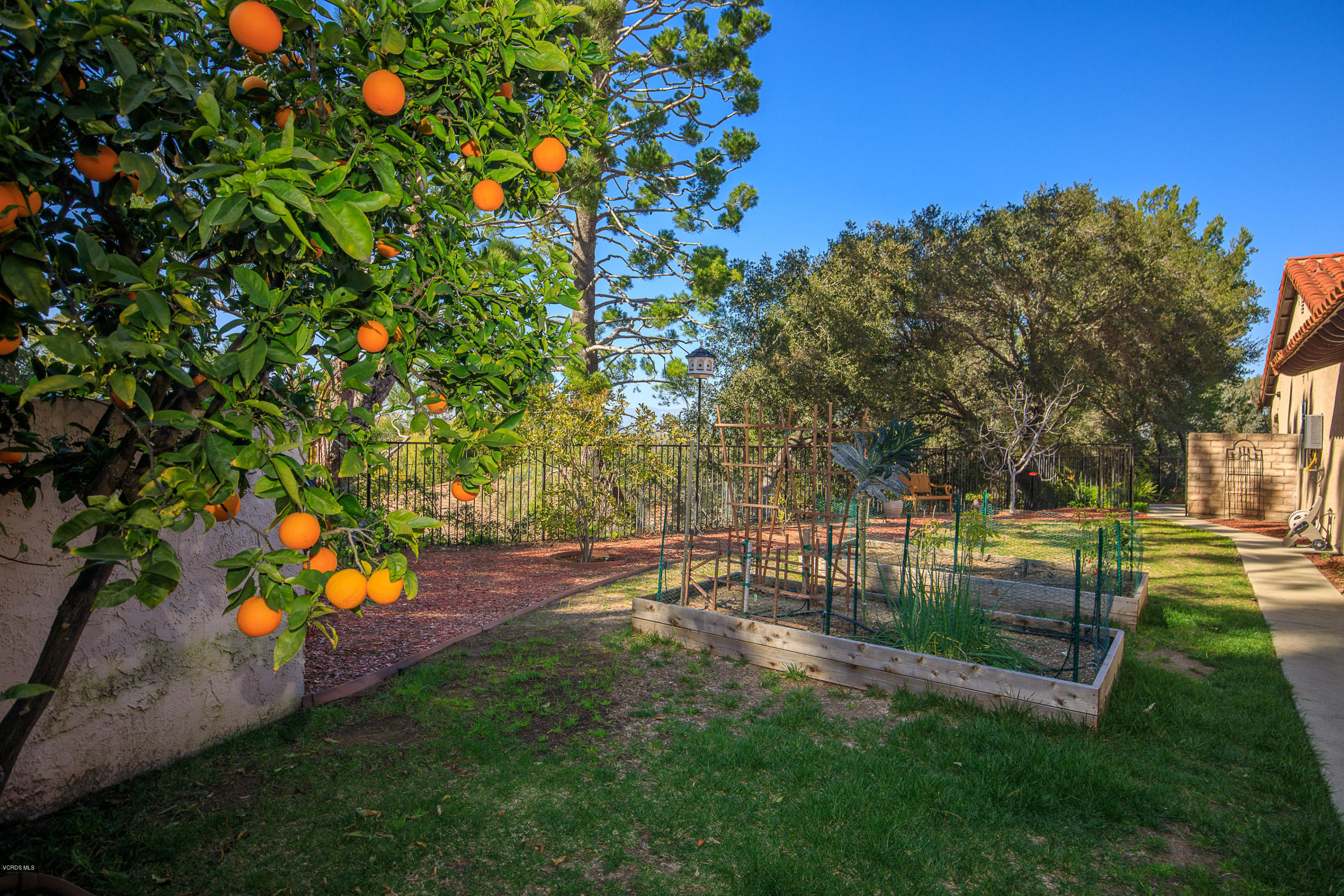38 Inverness Road Thousand Oaks, CA 91361 - Photo 30 of 35 a view of a yard with a tree