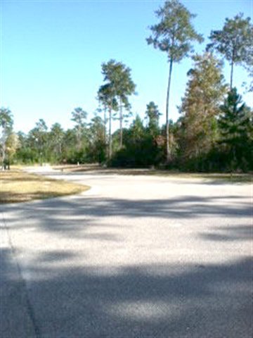 Lot 38 Grey Moss Road Murrells Inlet, SC 29576 - Photo 1 of 3 Gallery Image 1
