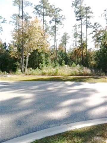 Lot 38 Grey Moss Road Murrells Inlet, SC 29576 - Photo 2 of 3 Gallery Image 2