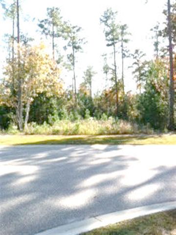 Lot 38 Grey Moss Road Murrells Inlet, SC 29576 - Photo 3 of 3 Gallery Image 3