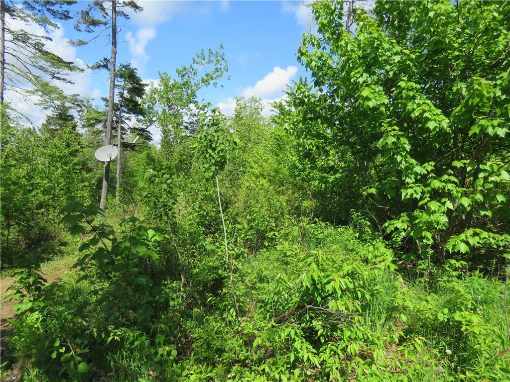 1132 Ferry Road Weston, ME 04424 - Photo 8 of 33 Photo