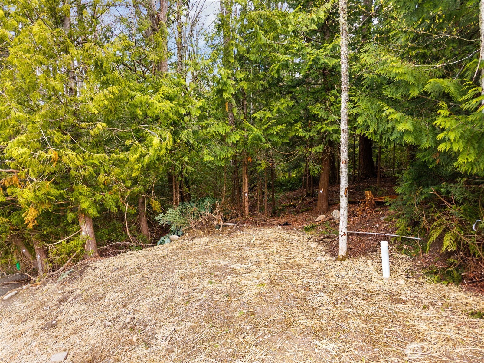 813 41st Street Bellingham, WA 98229 - Photo 12 of 16