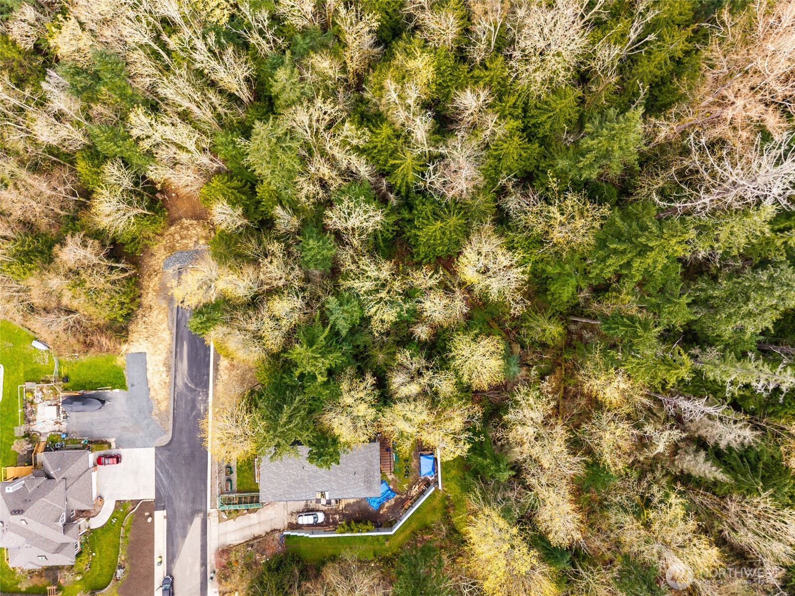 813 41st Street Bellingham, WA 98229 - Photo 6 of 16