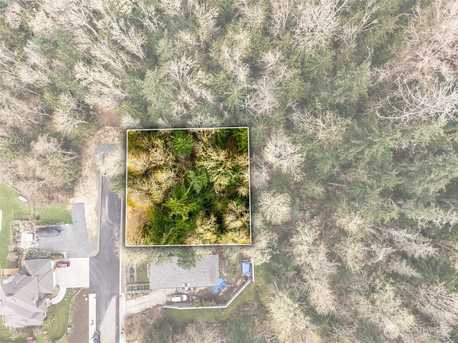 813 41st Street Bellingham, WA 98229 - Photo 7 of 16