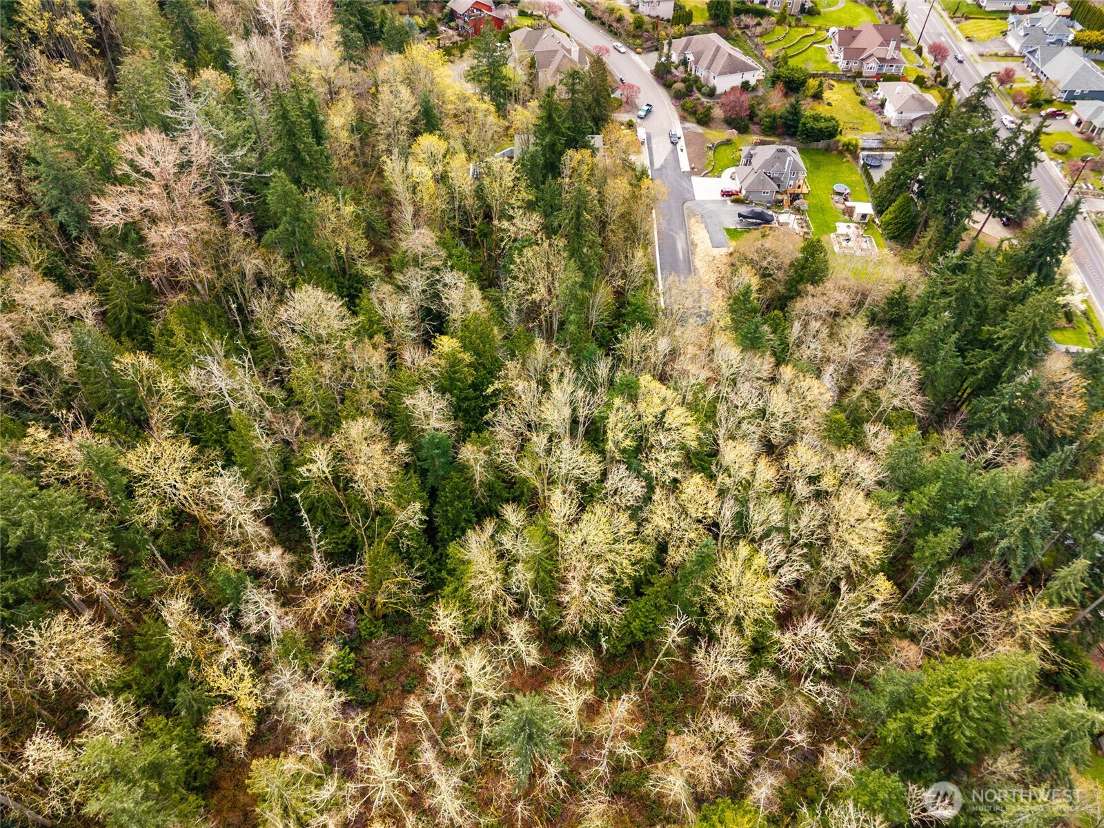 813 41st Street Bellingham, WA 98229 - Photo 9 of 16