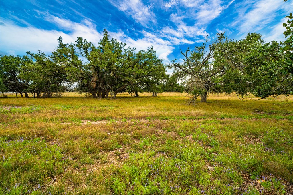 Lot 18 Reservation Road, Unit 18 Harper, TX 78631 - Photo 4 of 5 Gallery Image 4