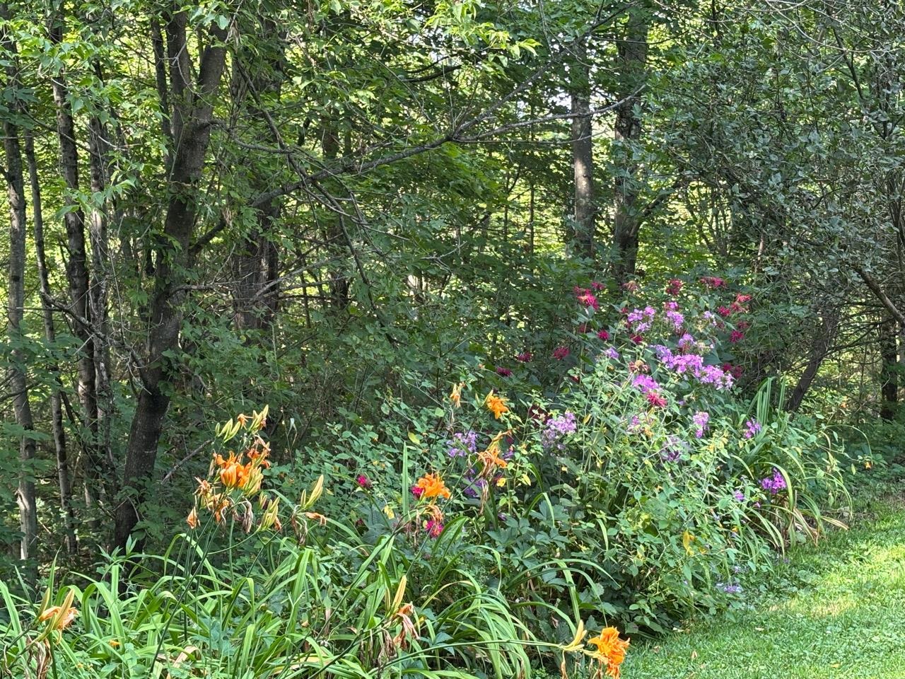 88 Woodsedge Road Morristown, VT 05661 - Photo 2 of 27
