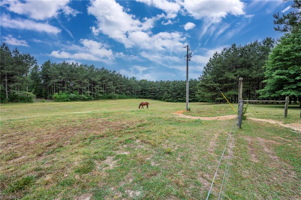 6253 Willard Road Staley, NC 27355 - Photo 43 of 50