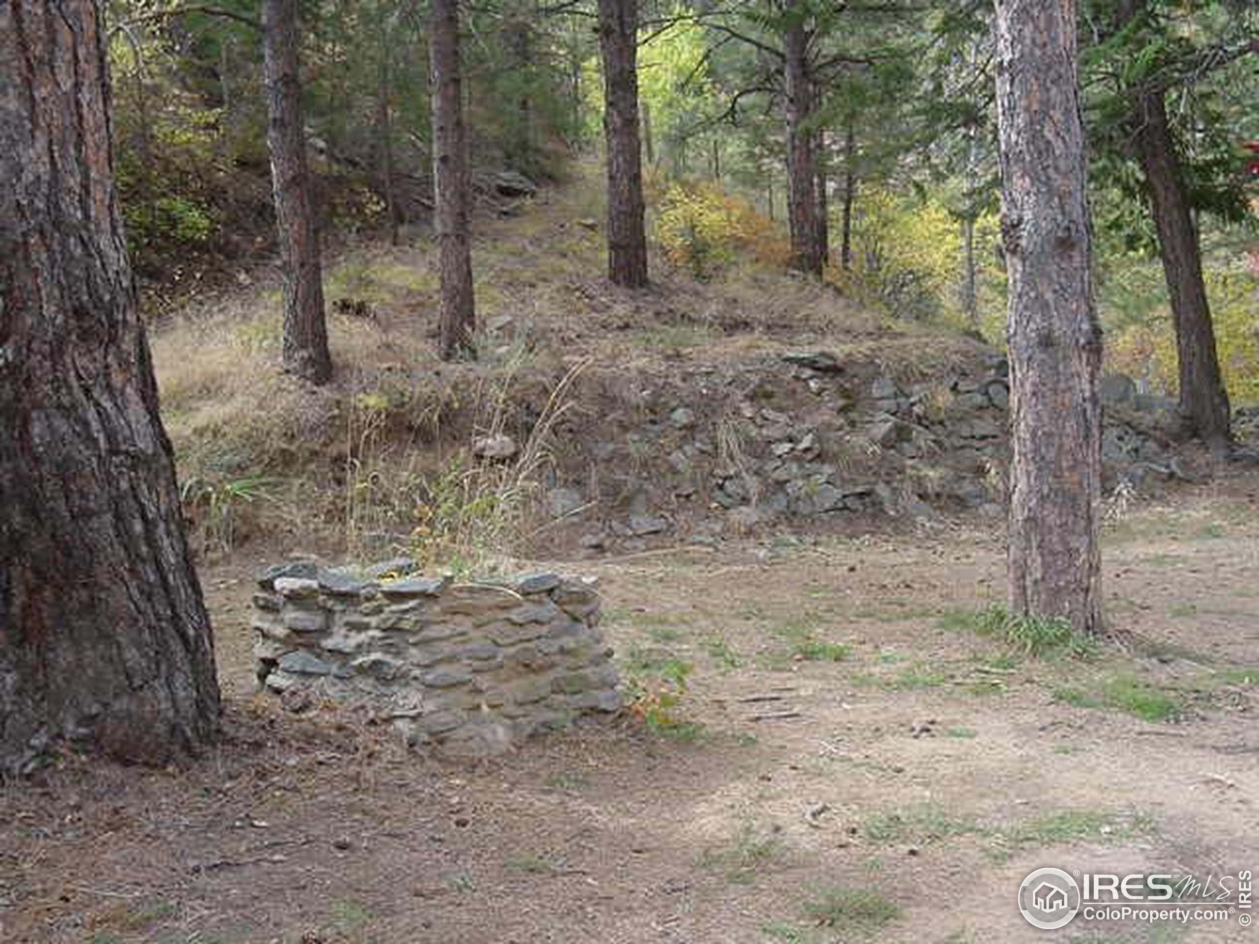 8965 County Road Bellvue, CO 80512 - Photo 4 of 4 Gallery Image 4