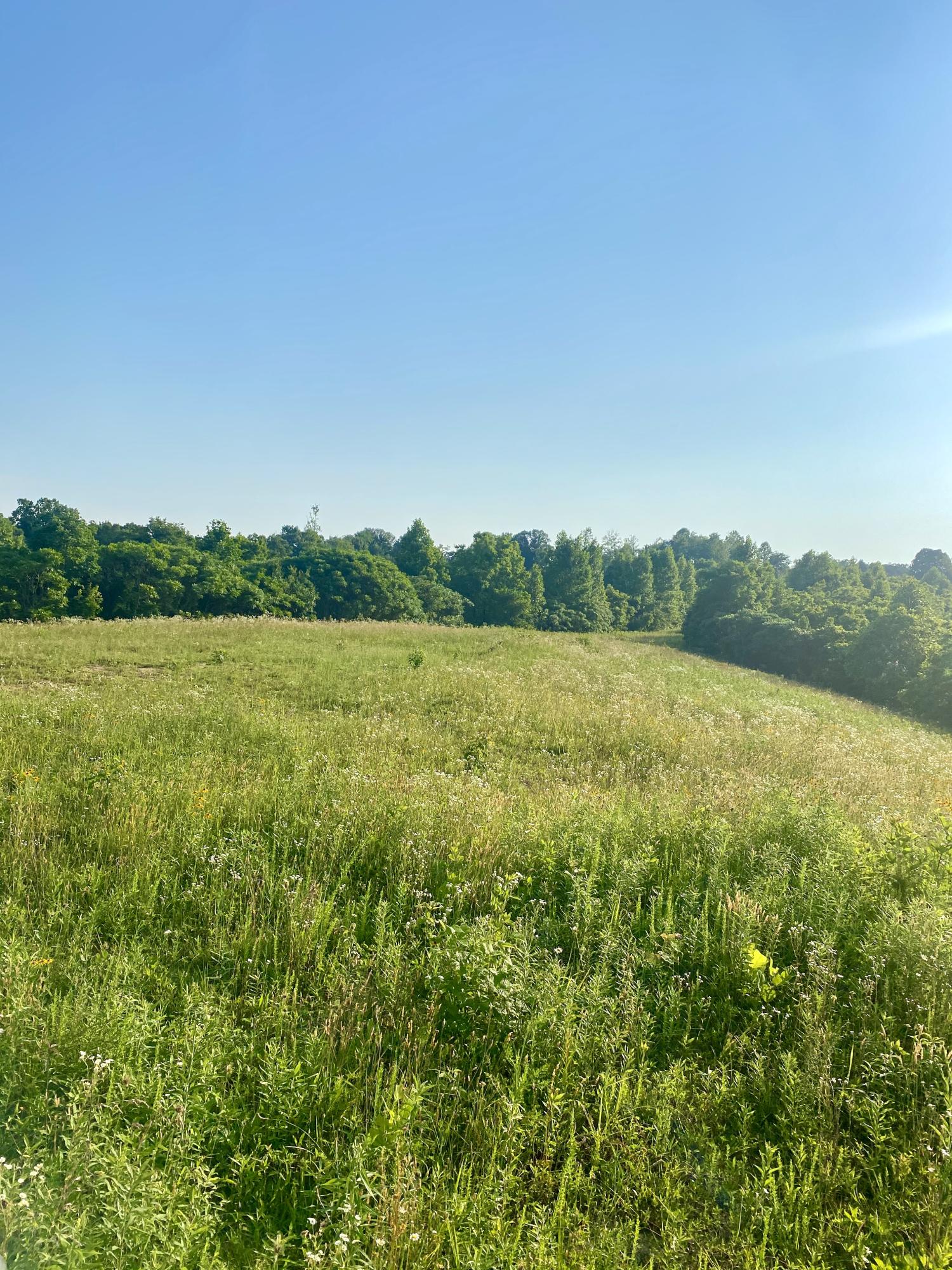 3000 Sloan Fork Road Windsor, KY 42565 - Photo 1 of 15 IMG_0599