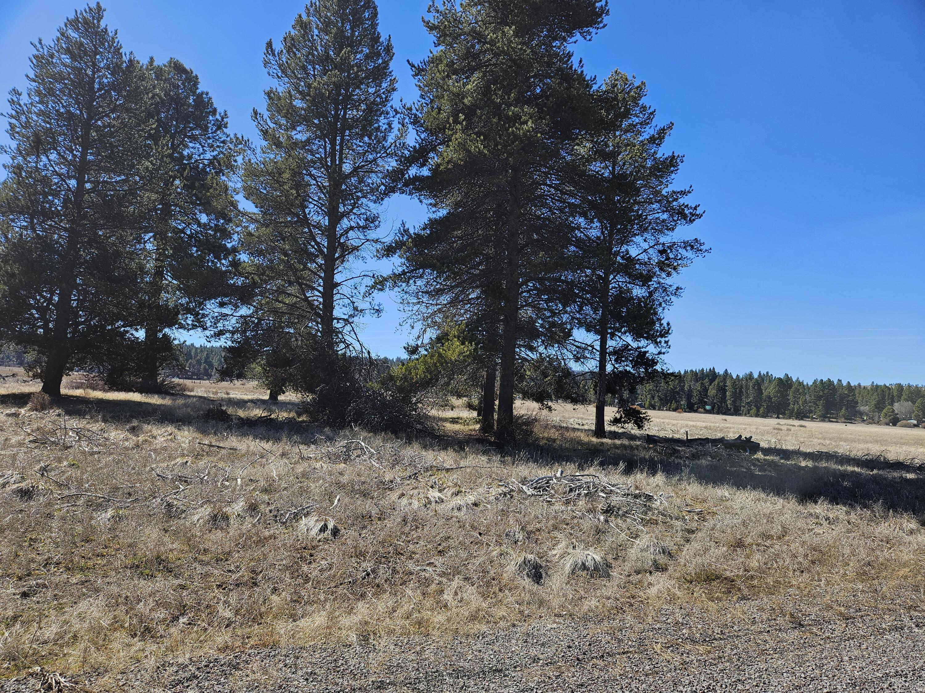 0 Longhorn Loop, Unit 25 Chiloquin, OR 97624 - Photo 1 of 4 Land
