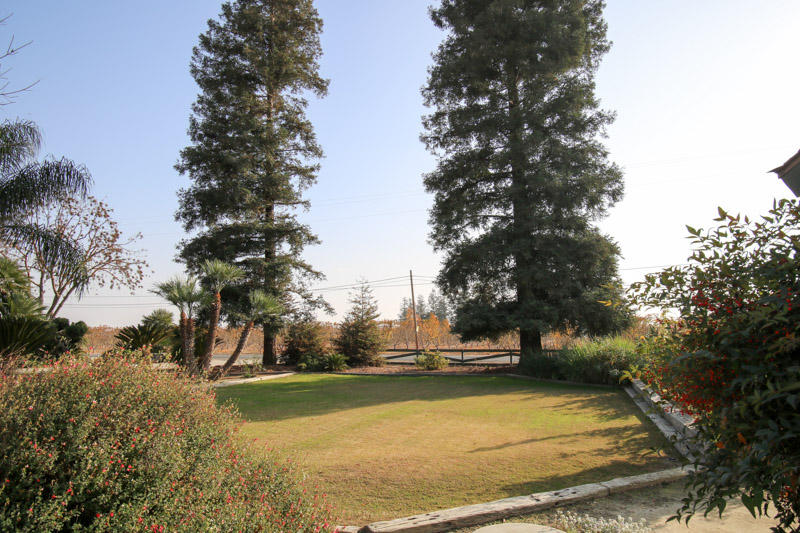 43018 Road 56 Reedley, CA 93654 - Photo 10 of 50 IMG_0506