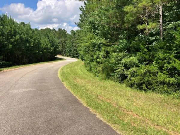a view of a pathway both side of yard