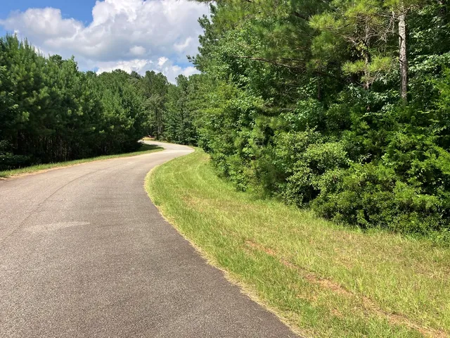 a view of a pathway both side of yard