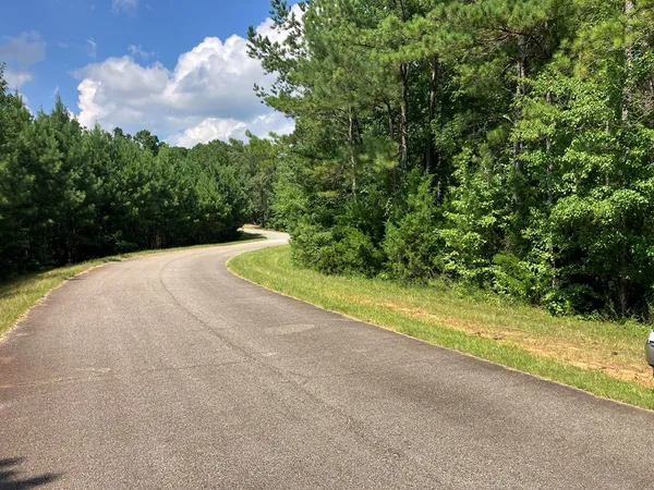 a view of a yard with an trees