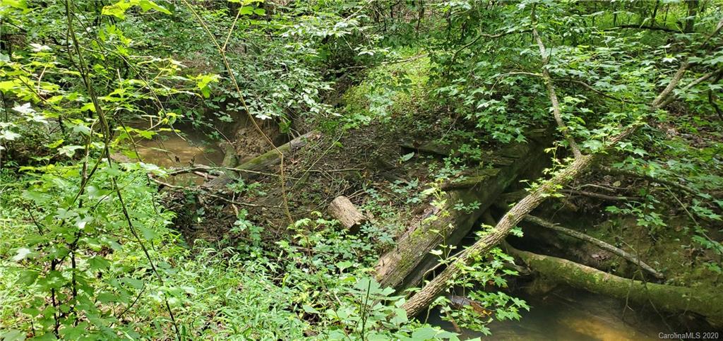 197 Hogan Road Forest City, NC 28043 - Photo 22 of 23 a view of a tree