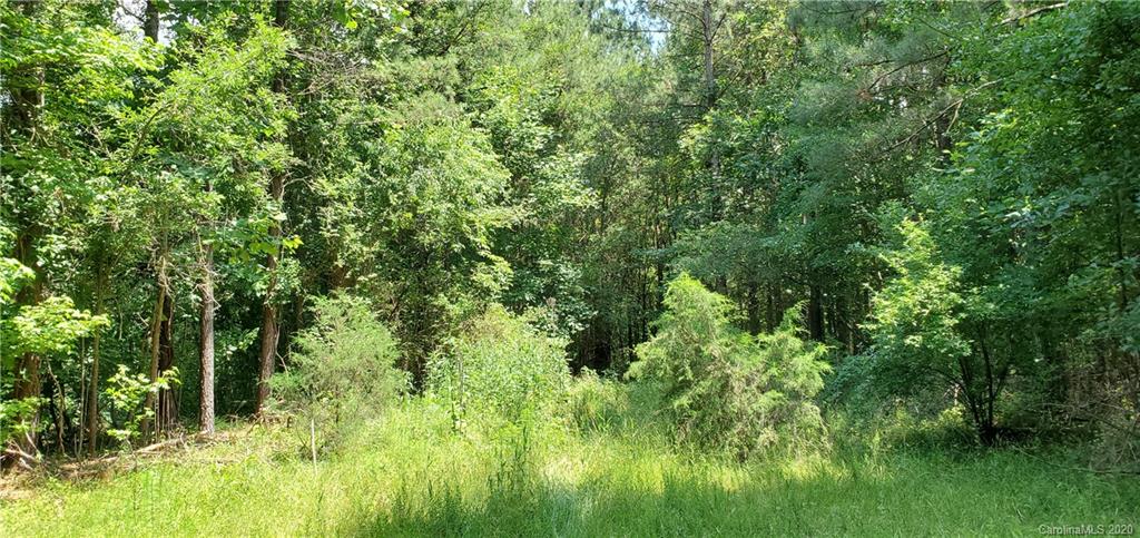 197 Hogan Road Forest City, NC 28043 - Photo 8 of 23 a view of a lush green forest