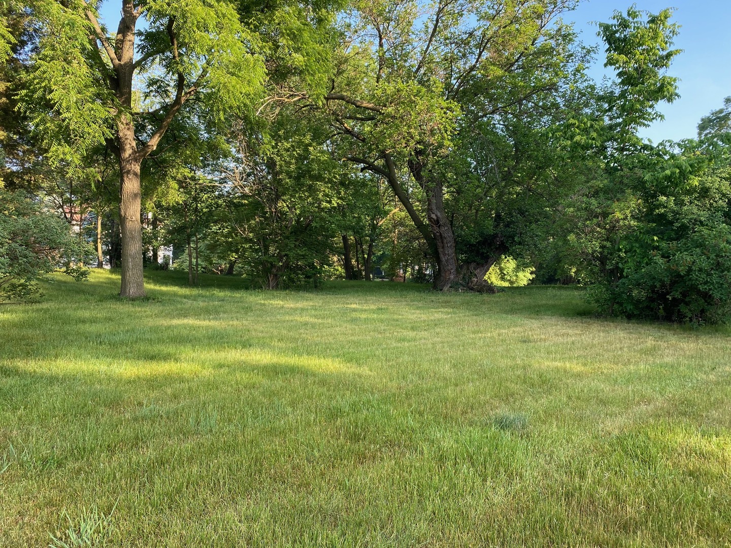 Lot 1 Wolf Road Willowbrook Village, IL 60527 - Photo 2 of 5 Gallery Image 2