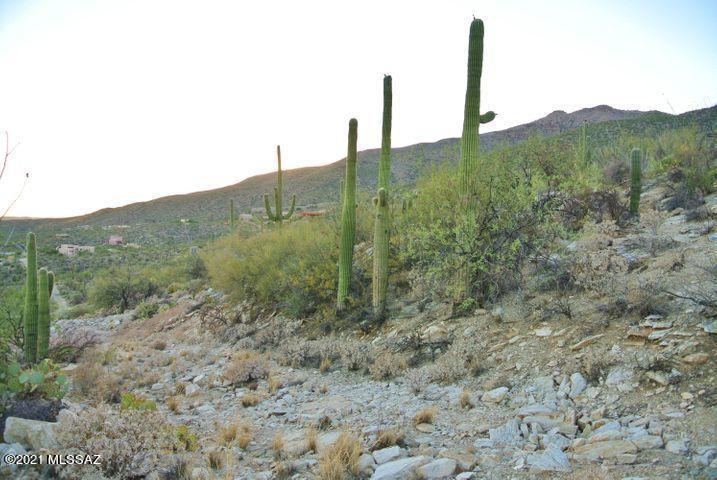 12265 East Coronado Road, Unit 46 Tucson, AZ 85749 - Photo 41 of 41