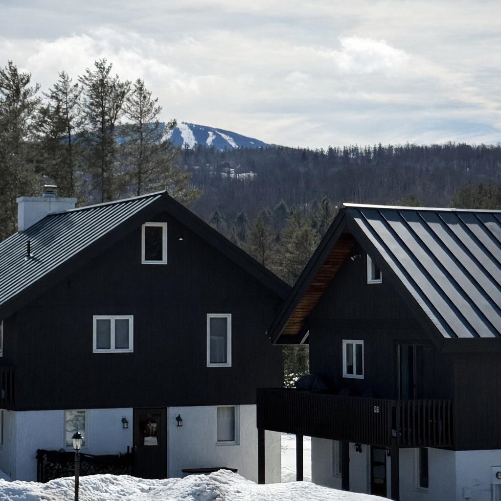 10 Byington Lane, Unit F1 Winhall, VT 05340 - Photo 15 of 15
